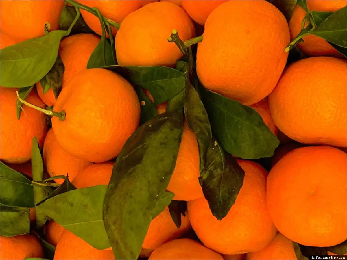 Мандариновый вопрос: когда эти фрукты могут навредить вашему здоровью