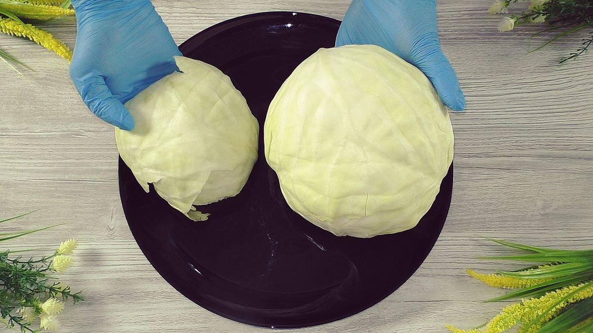 ��������� ����: ��� ������� � ������ ������� ����