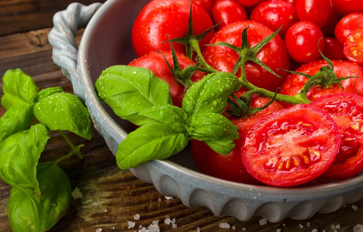 ������������ �������: ��� ������������� ���� ������ � �������� ������������ �� �������� ����