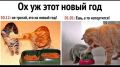 �� ���������� ���������� ������: ��� ������ ����������� �����