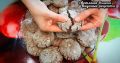 Шоколадное печенье с трещинками: простой и вкусный рецепт